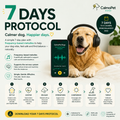 7 Days Protocol
