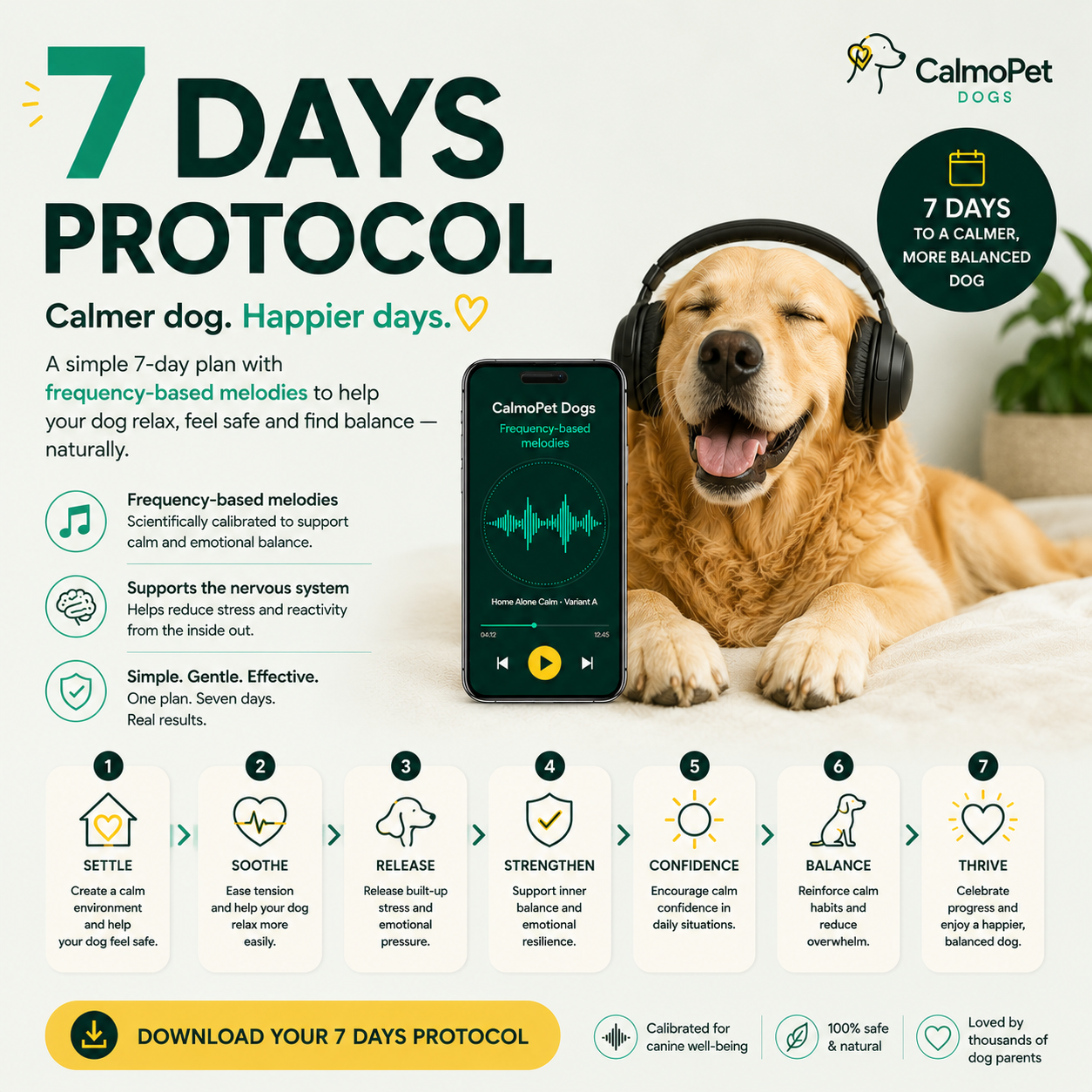 7 Days Protocol
